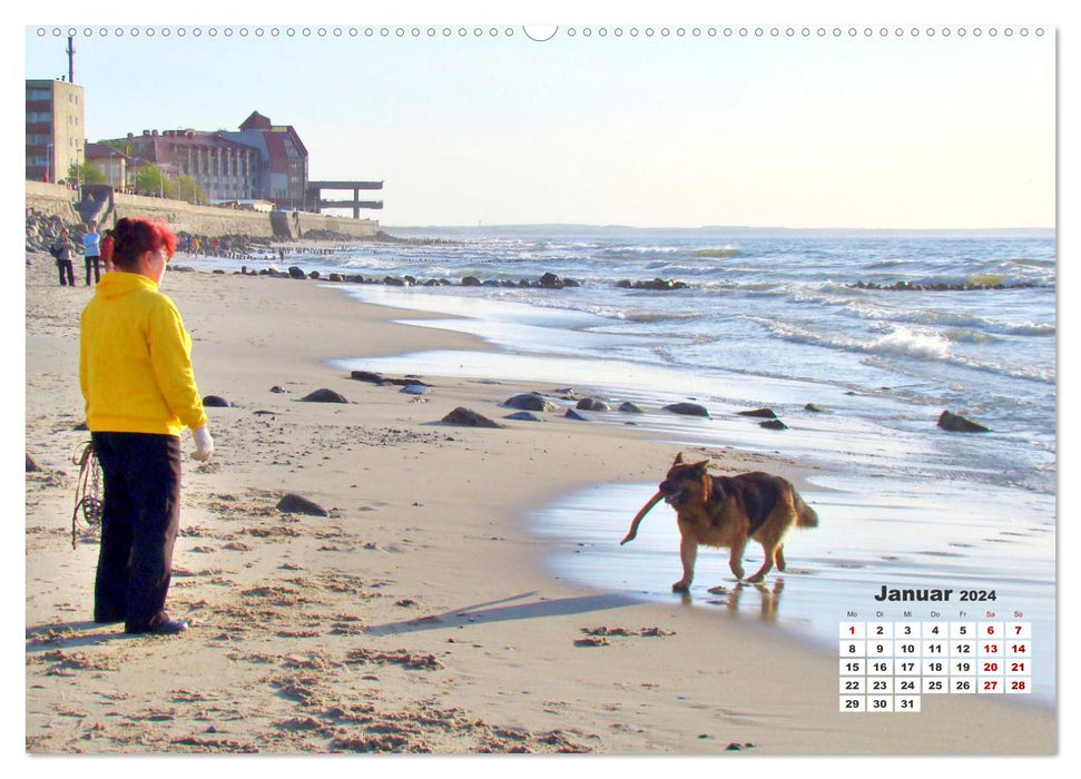 Baltic Sea dogs - two-legged friends and four-legged friends on the beach in Cranz (CALVENDO wall calendar 2024) 