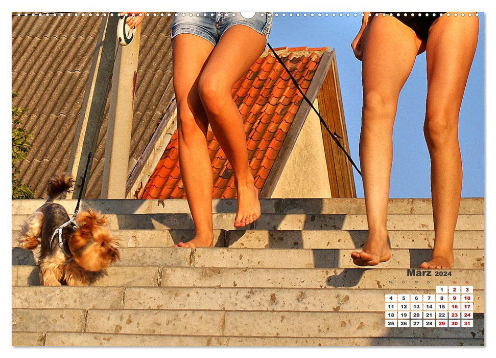 Ostsee-Hunde - Zweibeiner und Vierbeiner am Strand von Cranz (CALVENDO Wandkalender 2024)