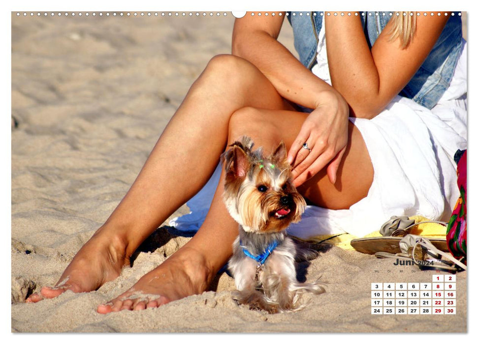 Baltic Sea dogs - two-legged friends and four-legged friends on the beach in Cranz (CALVENDO wall calendar 2024) 