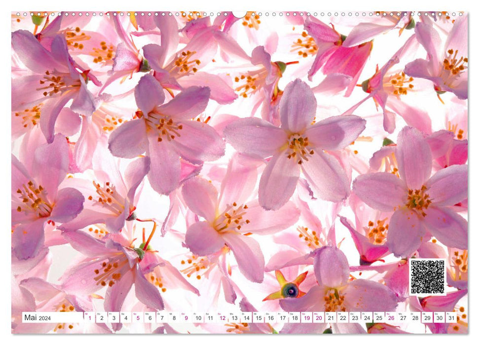Flowers and fragrant music (CALVENDO wall calendar 2024) 
