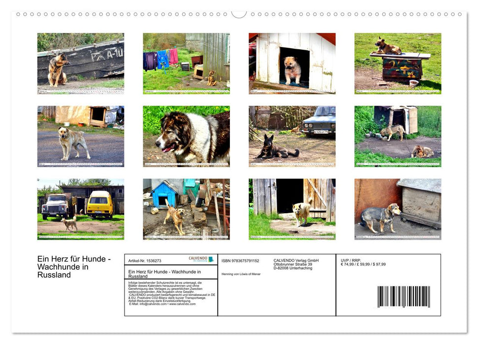 Ein Herz für Hunde - Wachhunde in Russland (CALVENDO Premium Wandkalender 2024)