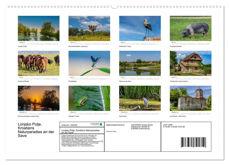 Lonjsko Polje, Kroatiens Naturparadies an der Save (CALVENDO Premium Wandkalender 2024)