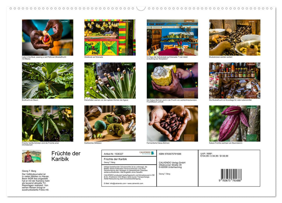 Früchte der Karibik (CALVENDO Premium Wandkalender 2024)