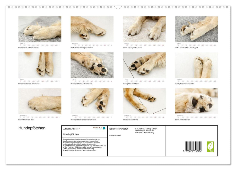 Dog Paws (CALVENDO Premium Wall Calendar 2024) 