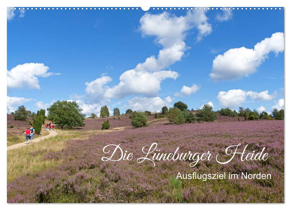 Die Lüneburger Heide - Ausflugsziel im Norden (CALVENDO Wandkalender 2024)