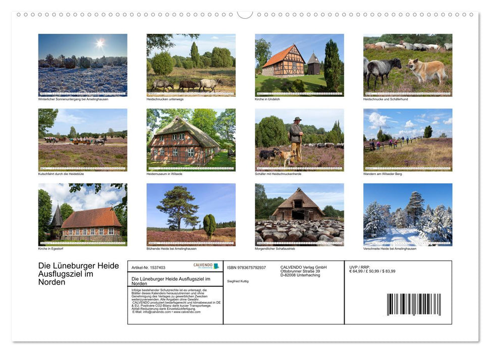 Die Lüneburger Heide - Ausflugsziel im Norden (CALVENDO Wandkalender 2024)