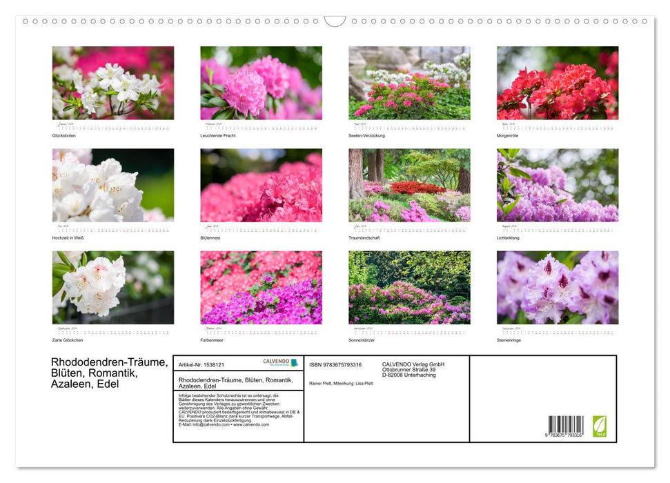 Rhododendren-Träume, Blüten, Romantik, Azaleen, Edel (CALVENDO Wandkalender 2024)