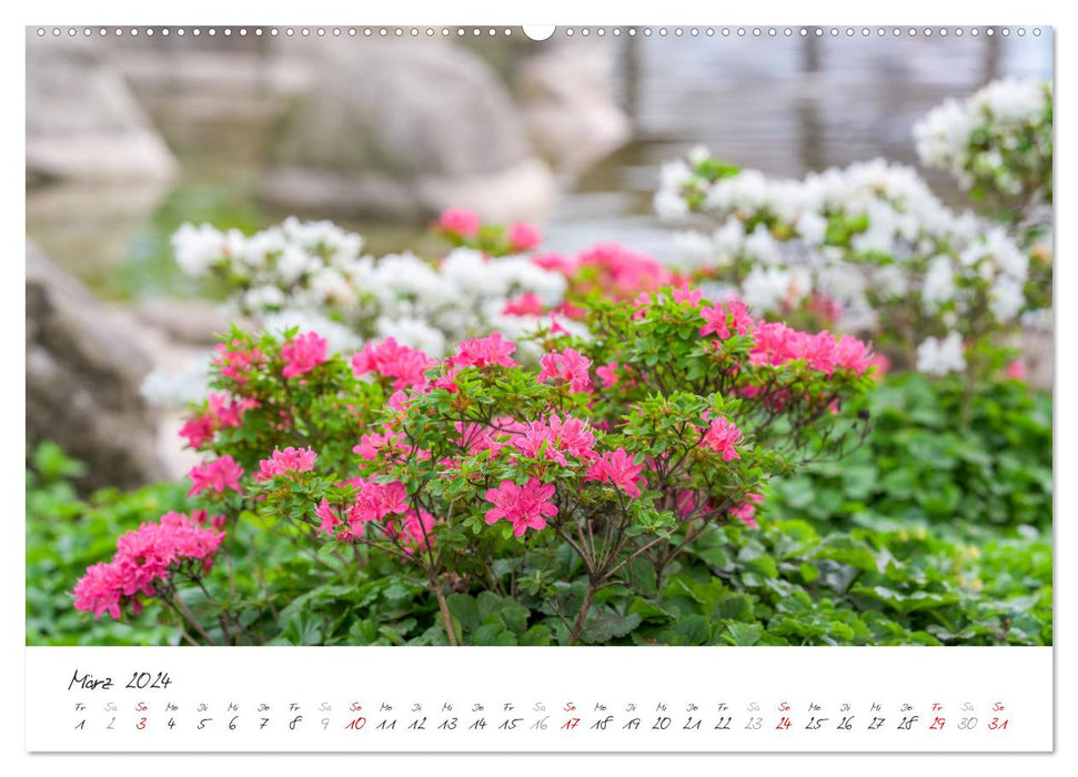 Rhododendren-Träume, Blüten, Romantik, Azaleen, Edel (CALVENDO Wandkalender 2024)