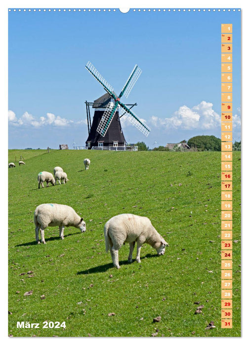 Les moulins à vent historiques d'Allemagne (calendrier mural CALVENDO 2024) 