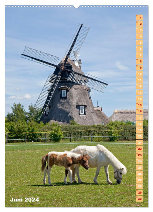 Les moulins à vent historiques d'Allemagne (calendrier mural CALVENDO 2024) 