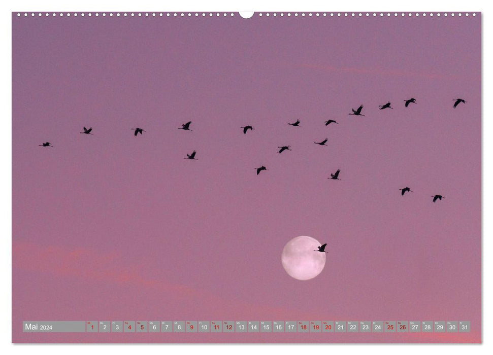 Vollmond - Momente der Ruhe (CALVENDO Premium Wandkalender 2024)