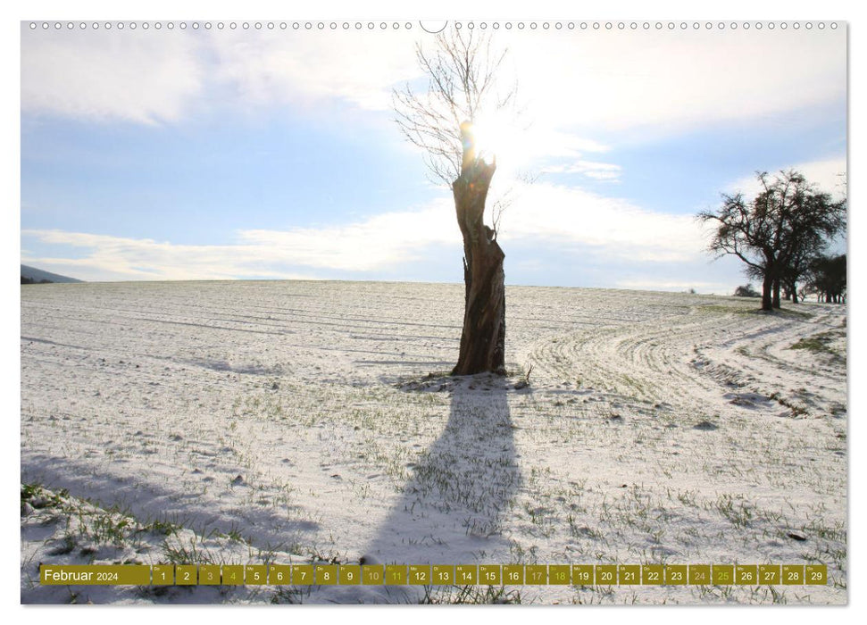 Apfelbaum und Streuobstwiesen (CALVENDO Premium Wandkalender 2024)