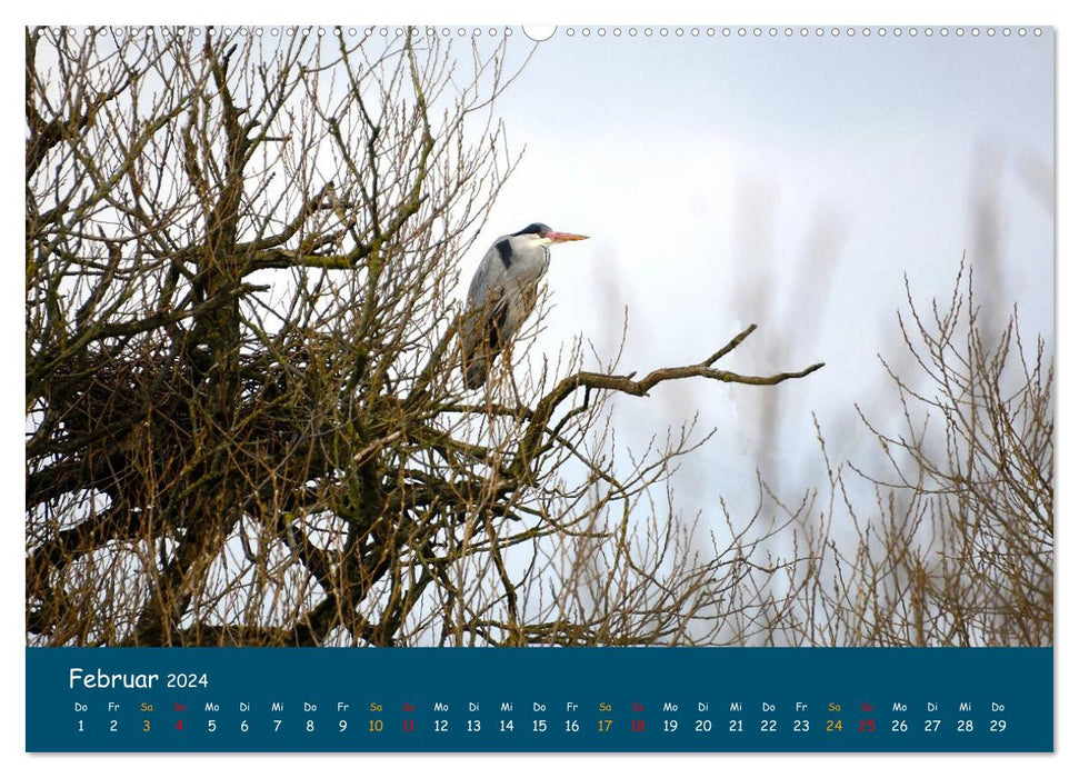 Naturschutzgebiet Wümme (CALVENDO Premium Wandkalender 2024)