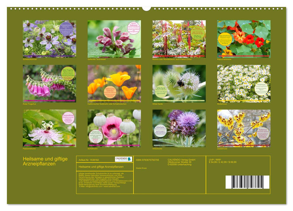 Heilsame und giftige Arzneipflanzen (CALVENDO Wandkalender 2024)