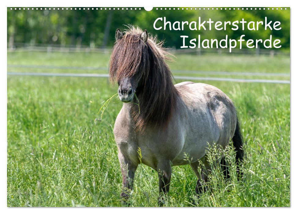 Charakterstarke Islandpferde (CALVENDO Wandkalender 2024)