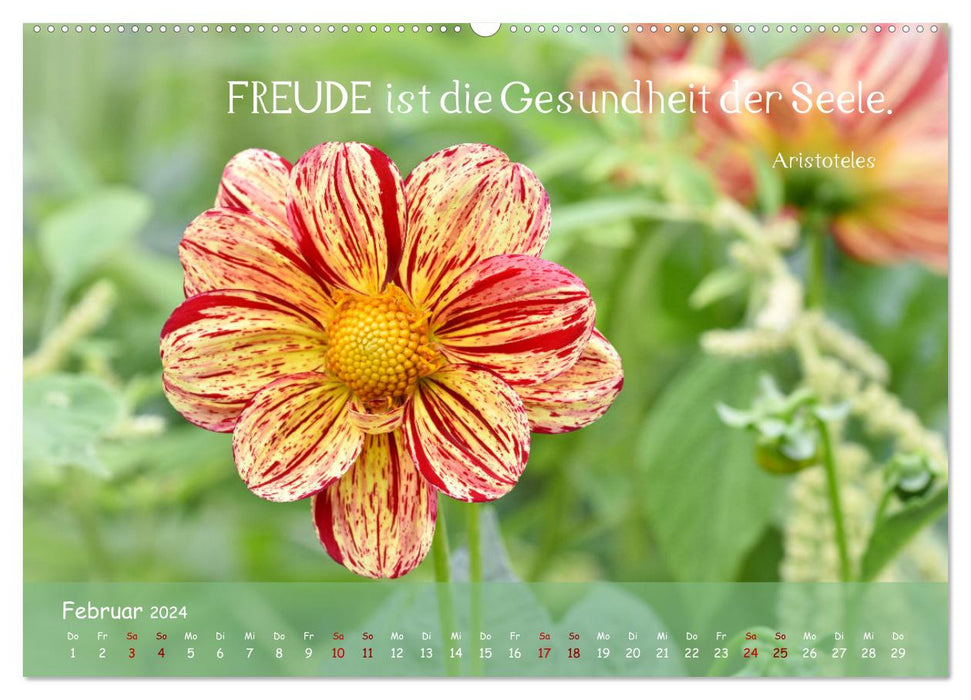 Blütenweisheiten (CALVENDO Premium Wandkalender 2024)