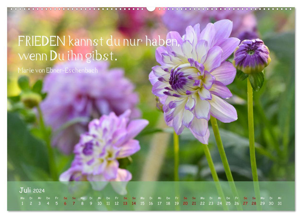 Blütenweisheiten (CALVENDO Premium Wandkalender 2024)
