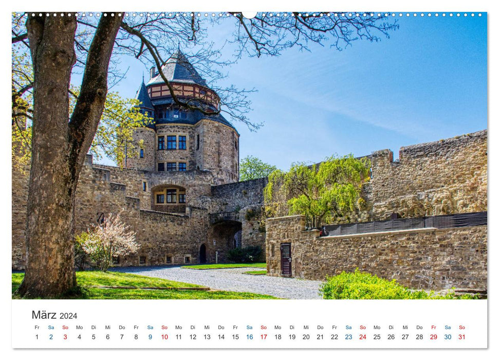 Alzey - Rheinhessens heimliche Hauptstadt (CALVENDO Premium Wandkalender 2024)