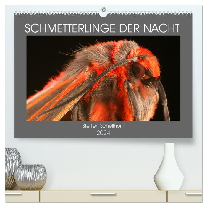 SCHMETTERLINGE DER NACHT (CALVENDO Premium Wandkalender 2024)