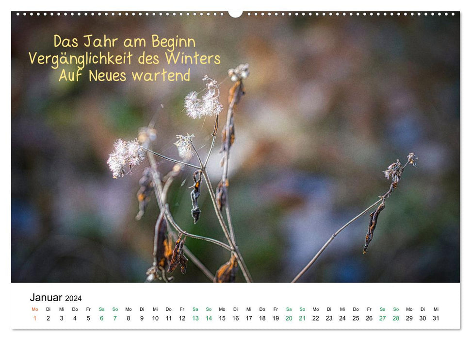 HAIKU, eine fotografische Interpretation (CALVENDO Premium Wandkalender 2024)