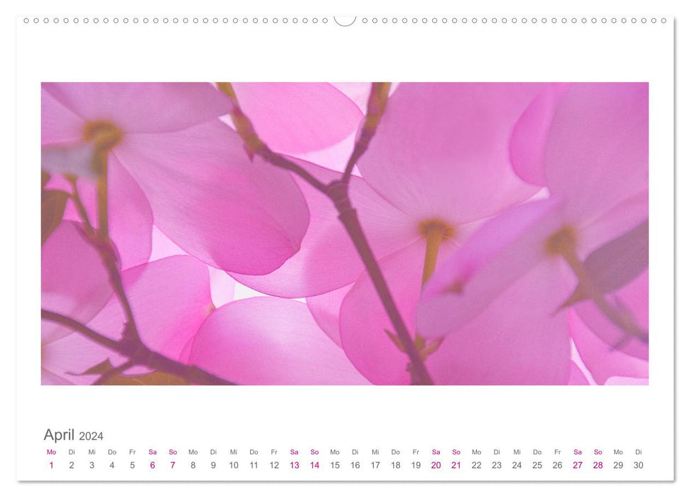 Blütenwerk (CALVENDO Premium Wandkalender 2024)