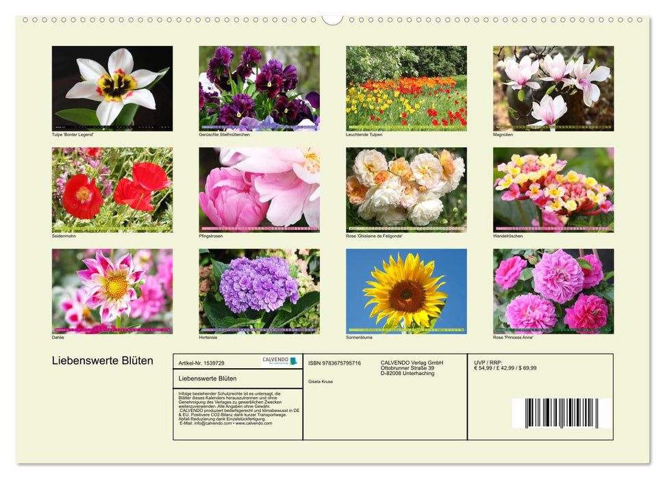 Liebenswerte Blüten (CALVENDO Wandkalender 2024)