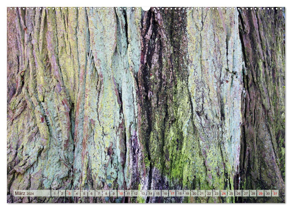 Fantastische Baumwelten (CALVENDO Premium Wandkalender 2024)