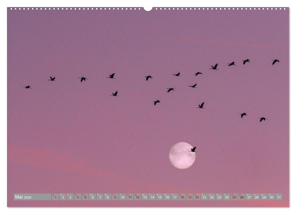 Full moon - moments of calm (CALVENDO wall calendar 2024) 