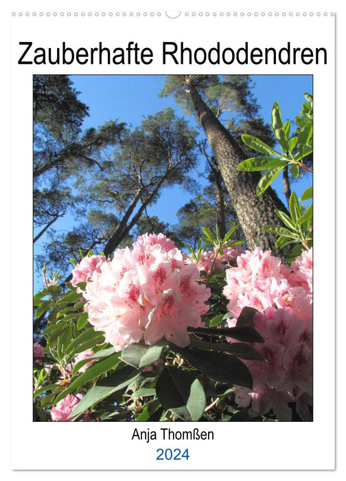 Zauberhafte Rhododendren (CALVENDO Wandkalender 2024)