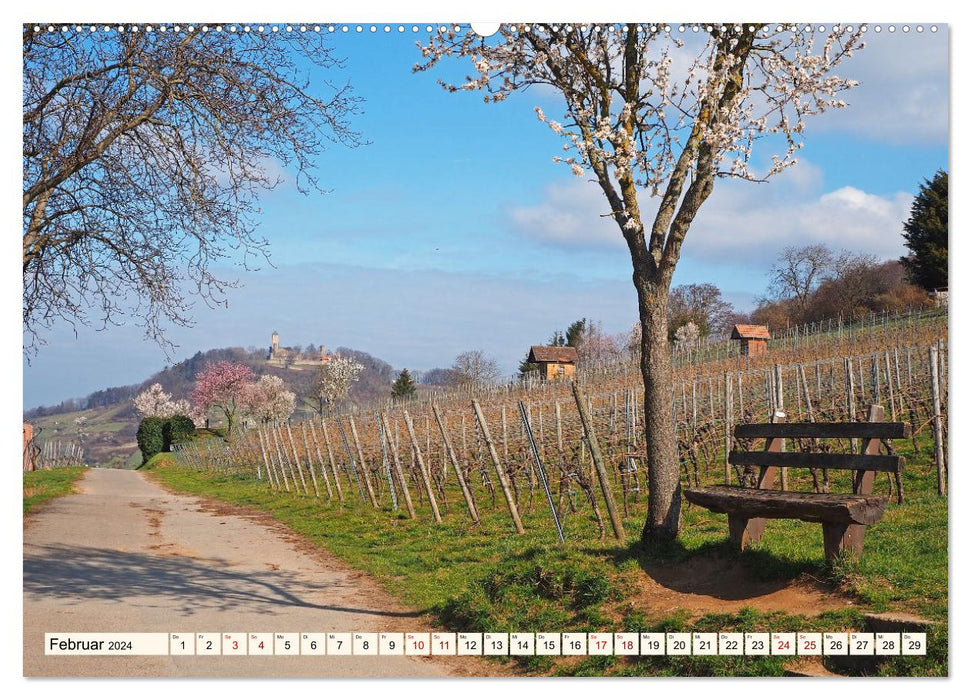 Vom Ried an die Bergstraße, durch den Odenwald ins Neckartal (CALVENDO Premium Wandkalender 2024)