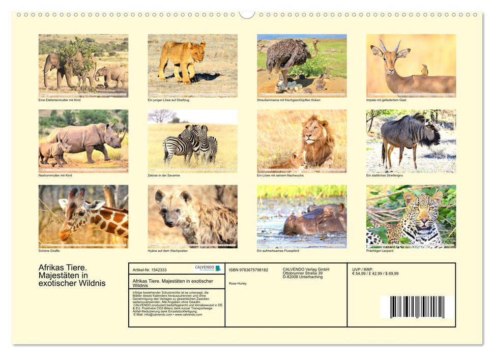 Afrikas Tiere. Majestäten in exotischer Wildnis (CALVENDO Wandkalender 2024)