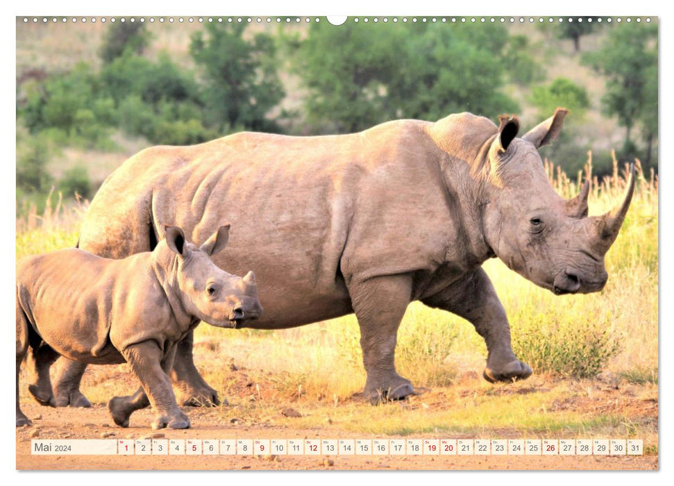 Afrikas Tiere. Majestäten in exotischer Wildnis (CALVENDO Wandkalender 2024)