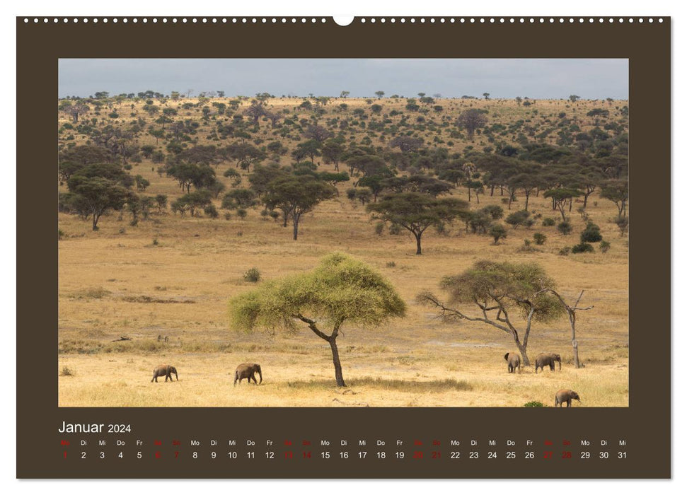 Tansania - Mensch, Tier und Landschaft (CALVENDO Wandkalender 2024)