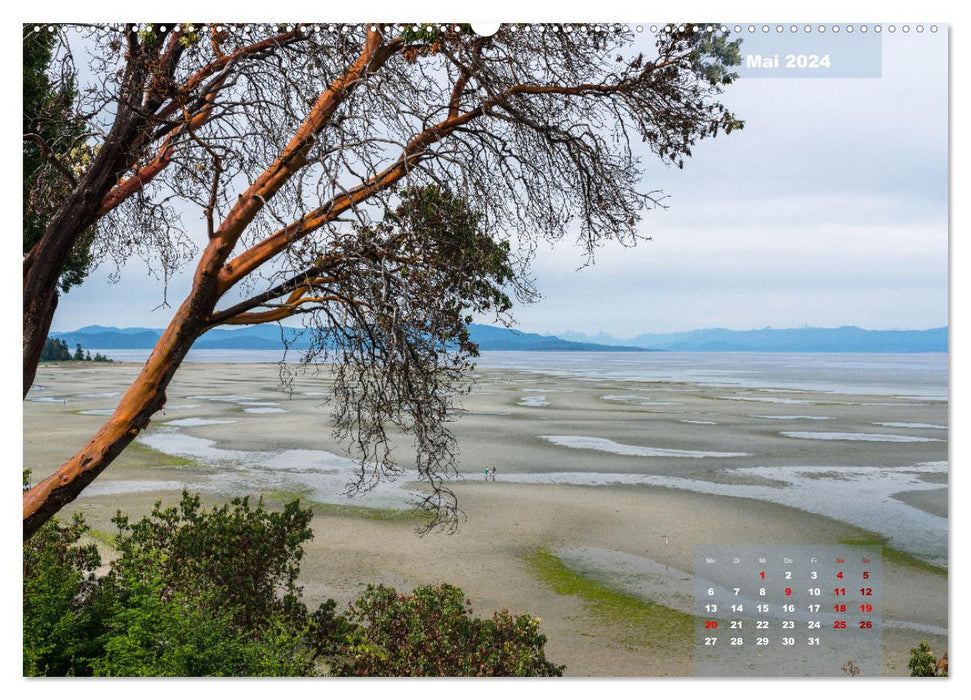 Envie du Canada – Côte sauvage du Pacifique et forêts mystiques (Calendrier mural CALVENDO 2024) 