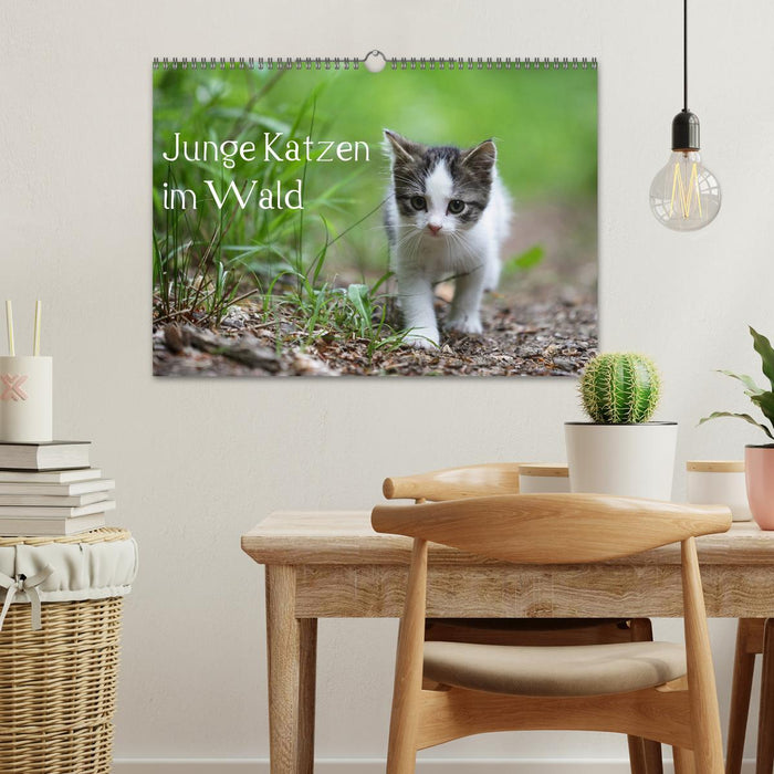 Young cats in the forest (CALVENDO wall calendar 2024) 