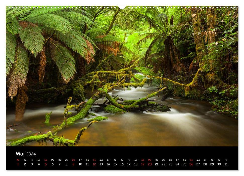 La beauté de l'Australie (Calendrier mural CALVENDO 2024) 