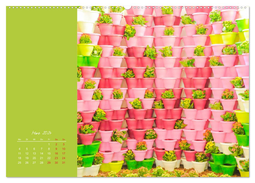 Knallbunt - Ein Potpourri der Farben (CALVENDO Premium Wandkalender 2024)