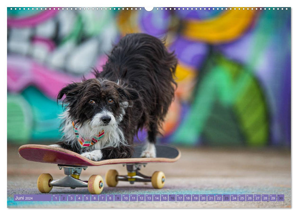 Graffiti Dogs (Calvendo Premium Calendrier mural 2024) 