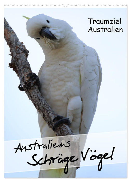 Australiens schräge Vögel 2024 (CALVENDO Wandkalender 2024)