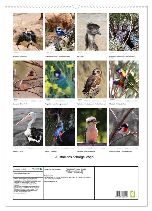 Australiens schräge Vögel 2024 (CALVENDO Wandkalender 2024)