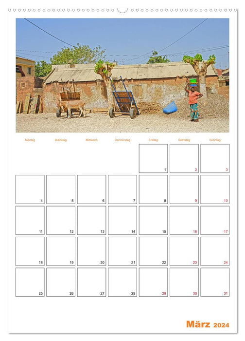 Experience Gambia and Senegal (CALVENDO Premium Wall Calendar 2024) 