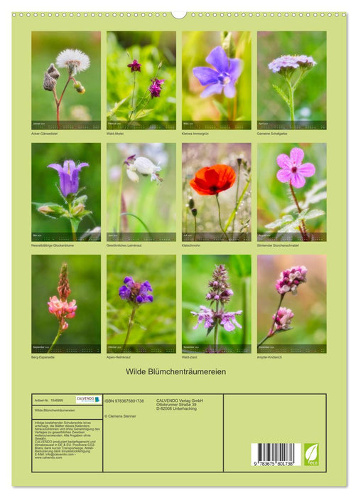 Wild flower dreams (CALVENDO Premium wall calendar 2024) 