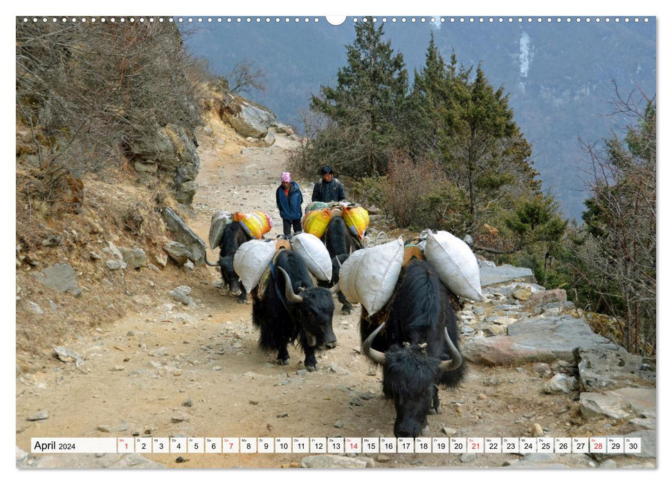 Traumtrekking in NEPAL, von Jiri zum Everest Base Camp (CALVENDO Wandkalender 2024)