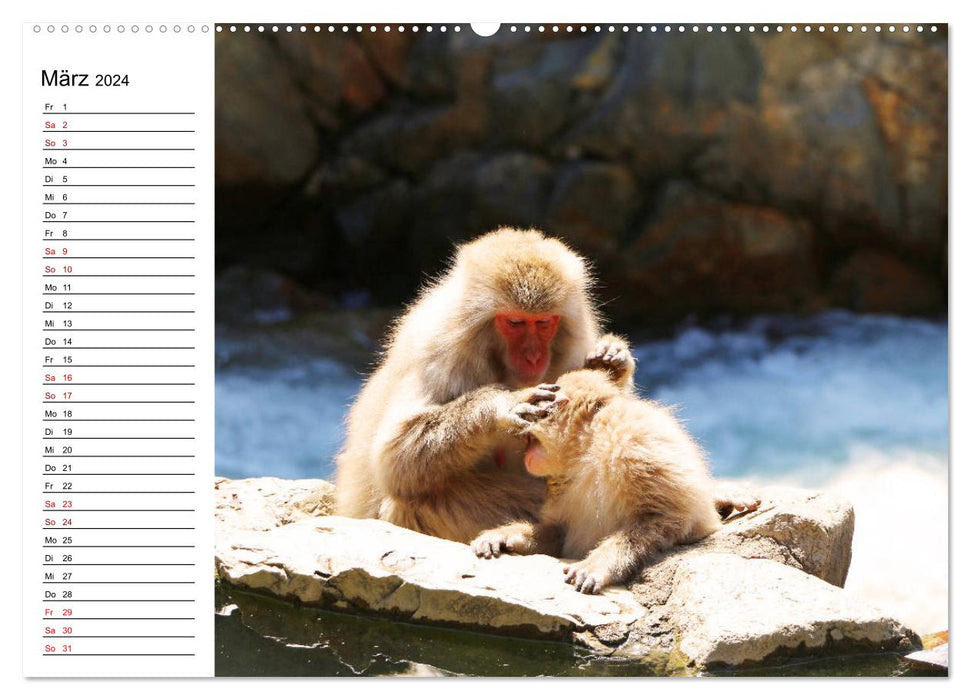 Tiere der Erde Geburtstagskalender (CALVENDO Premium Wandkalender 2024)
