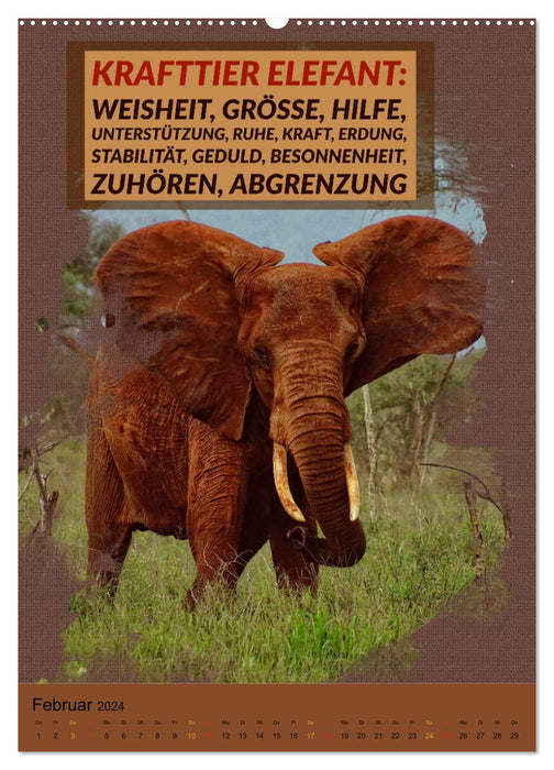 Afrikanische Krafttiere und deren Bedeutung (CALVENDO Premium Wandkalender 2024)