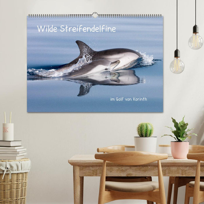 Wilde Streifendelfine im Golf von Korinth (CALVENDO Wandkalender 2024)