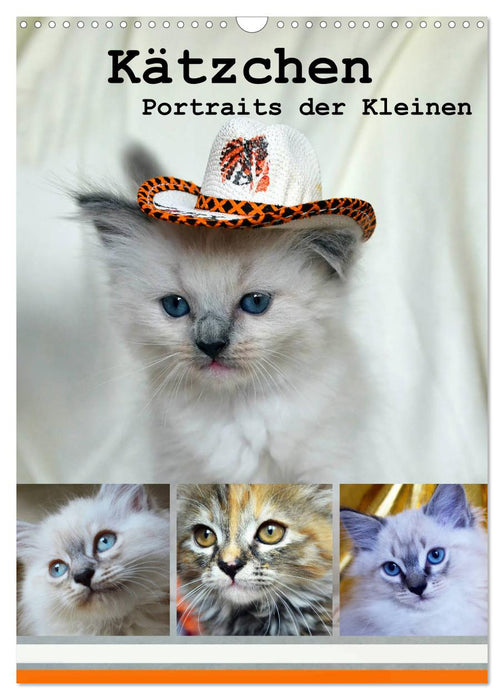 Kätzchen - Portraits der Kleinen (CALVENDO Wandkalender 2024)