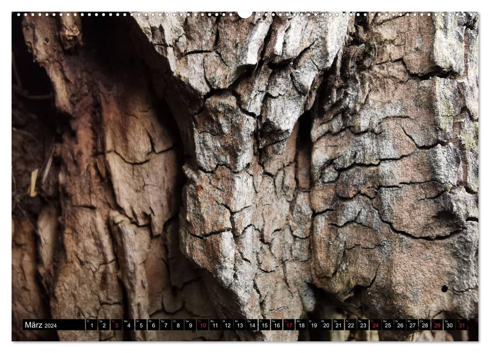 Holzlandschaft (CALVENDO Premium Wandkalender 2024)