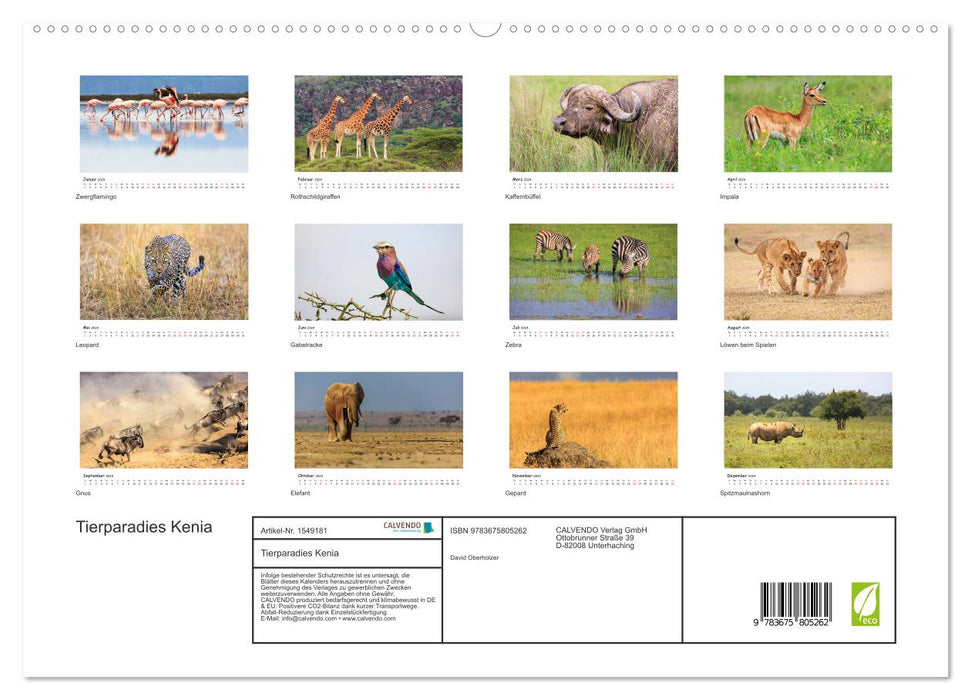 Tierparadies Kenia (CALVENDO Premium Wandkalender 2024)