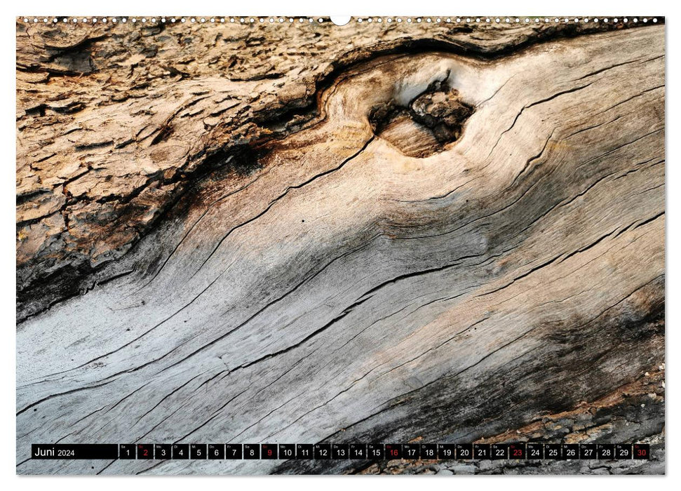 Holzlandschaft (CALVENDO Wandkalender 2024)